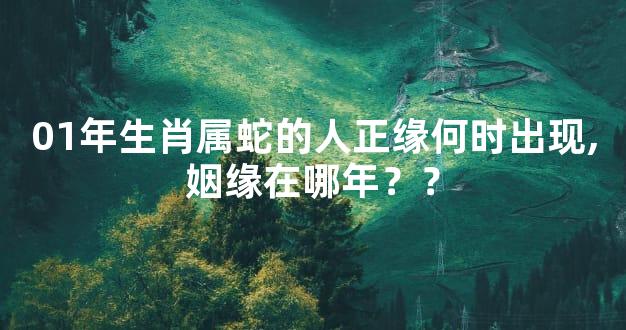 01年生肖属蛇的人正缘何时出现,姻缘在哪年？？