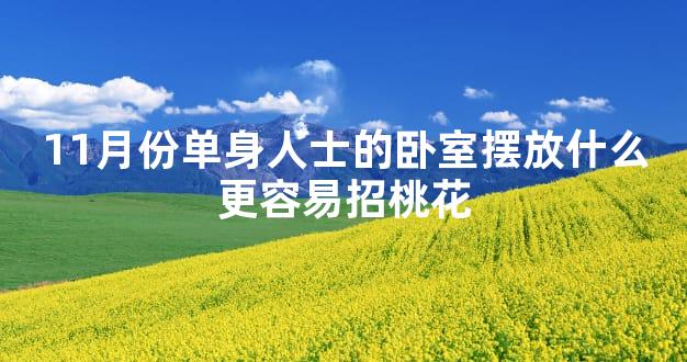 11月份单身人士的卧室摆放什么更容易招桃花