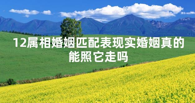 12属相婚姻匹配表现实婚姻真的能照它走吗