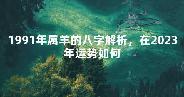 1991年属羊的八字解析，在2023年运势如何
