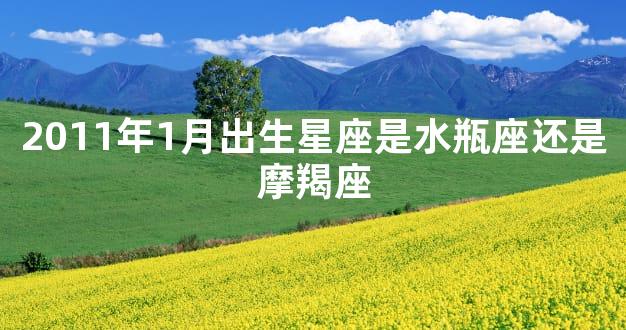 2011年1月出生星座是水瓶座还是摩羯座