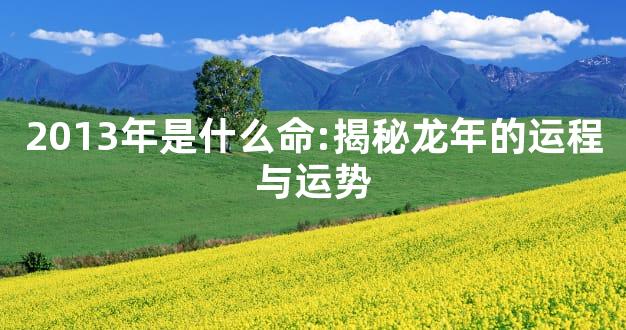 2013年是什么命:揭秘龙年的运程与运势