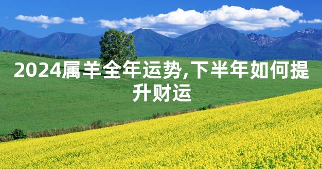 2024属羊全年运势,下半年如何提升财运