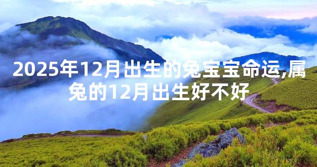 2025年12月出生的兔宝宝命运,属兔的12月出生好不好