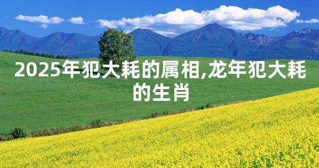 2025年犯大耗的属相,龙年犯大耗的生肖