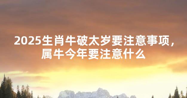 2025生肖牛破太岁要注意事项，属牛今年要注意什么