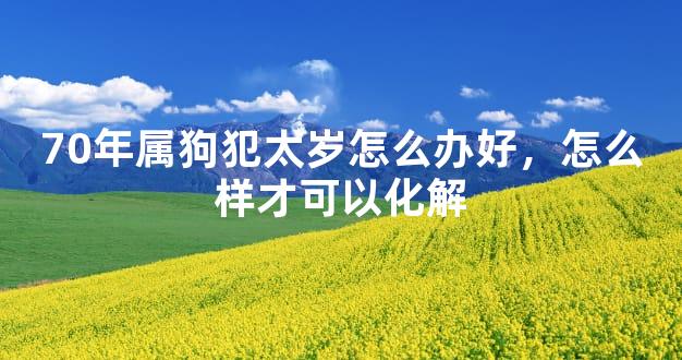 70年属狗犯太岁怎么办好，怎么样才可以化解