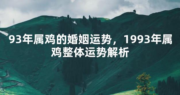 93年属鸡的婚姻运势，1993年属鸡整体运势解析