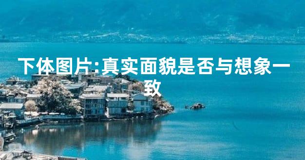 下体图片:真实面貌是否与想象一致