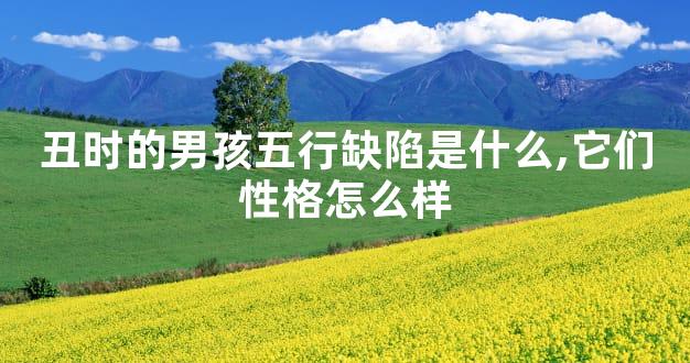 丑时的男孩五行缺陷是什么,它们性格怎么样