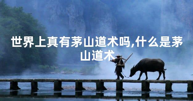 世界上真有茅山道术吗,什么是茅山道术