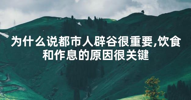 为什么说都市人辟谷很重要,饮食和作息的原因很关键