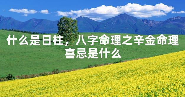 什么是日柱，八字命理之辛金命理喜忌是什么