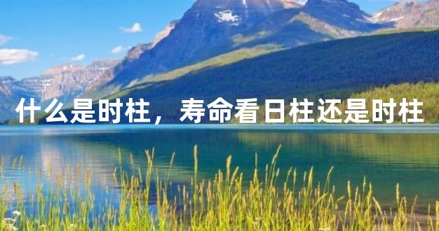 什么是时柱，寿命看日柱还是时柱