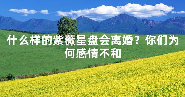什么样的紫薇星盘会离婚？你们为何感情不和