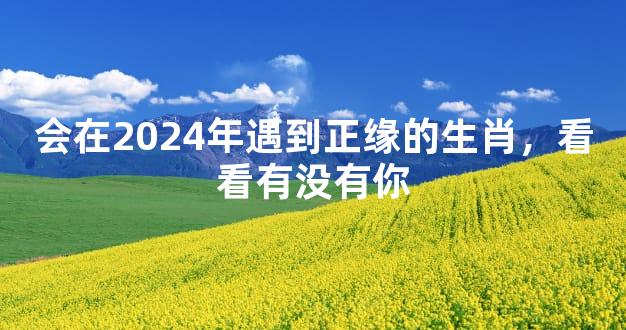 会在2024年遇到正缘的生肖，看看有没有你