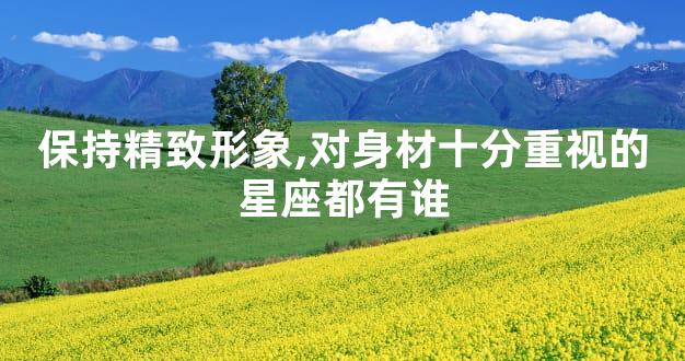 保持精致形象,对身材十分重视的星座都有谁