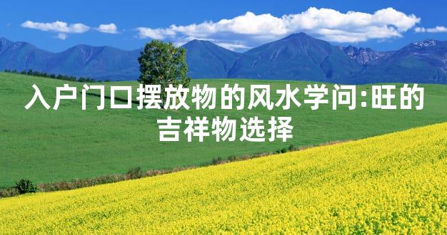 入户门口摆放物的风水学问:旺的吉祥物选择