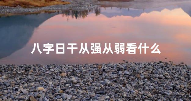 八字日干从强从弱看什么