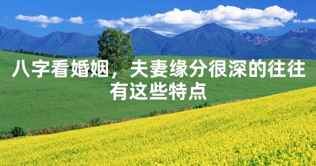 八字看婚姻，夫妻缘分很深的往往有这些特点