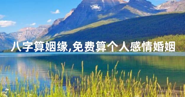 八字算姻缘,免费算个人感情婚姻