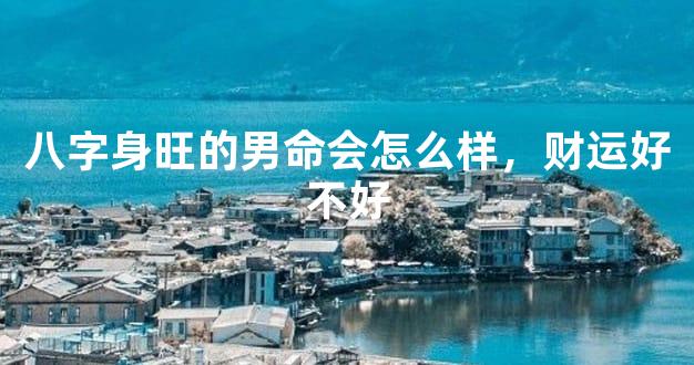八字身旺的男命会怎么样，财运好不好