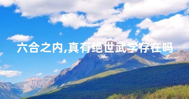 六合之内,真有绝世武学存在吗