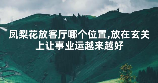 凤梨花放客厅哪个位置,放在玄关上让事业运越来越好