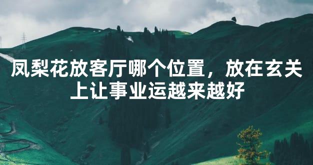 凤梨花放客厅哪个位置，放在玄关上让事业运越来越好