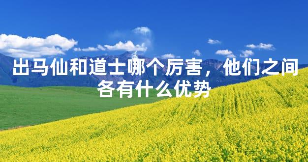 出马仙和道士哪个厉害，他们之间