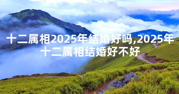 十二属相2025年结婚好吗,2025年十二属相结婚好不好