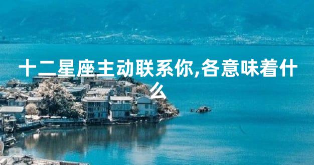 十二星座主动联系你,各意味着什么