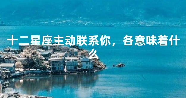 十二星座主动联系你，各意味着什么