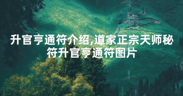 升官亨通符介绍,道家正宗天师秘符升官亨通符图片