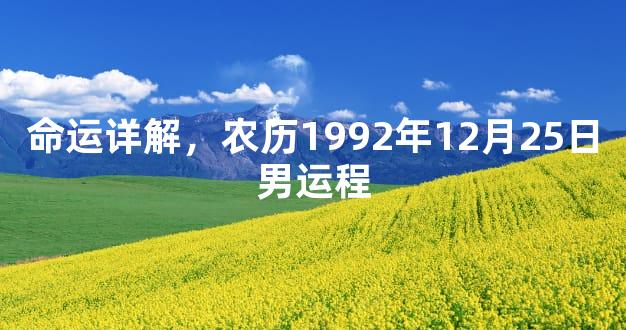 命运详解，农历1992年12月25日男运程
