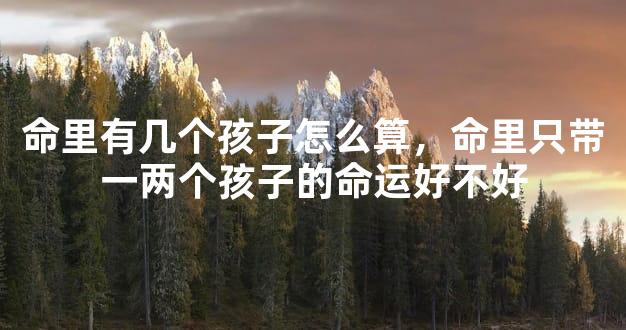 命里有几个孩子怎么算，命里只带一两个孩子的命运好不好