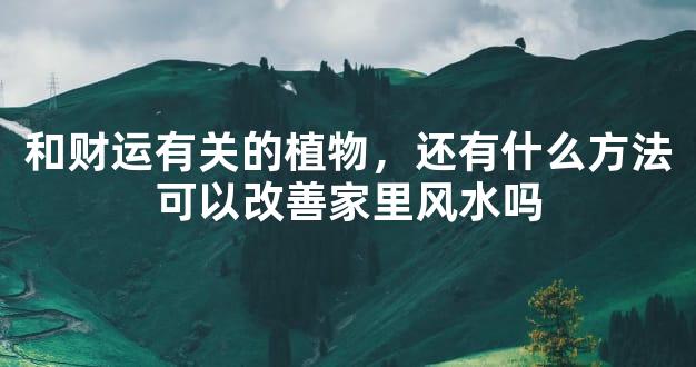 和财运有关的植物，还有什么方法可以改善家里风水吗