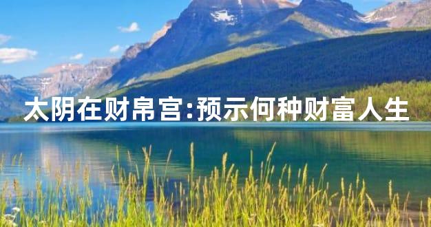 太阴在财帛宫:预示何种财富人生