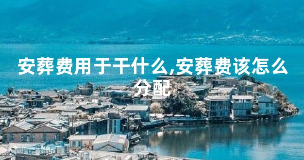 安葬费用于干什么,安葬费该怎么分配