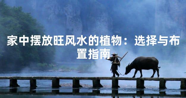 家中摆放旺风水的植物：选择与布置指南