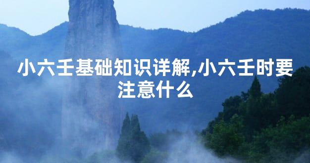 小六壬基础知识详解,小六壬时要注意什么