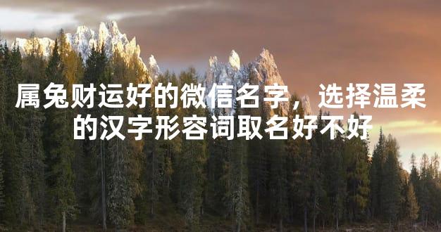 属兔财运好的微信名字，选择温柔的汉字形容词取名好不好