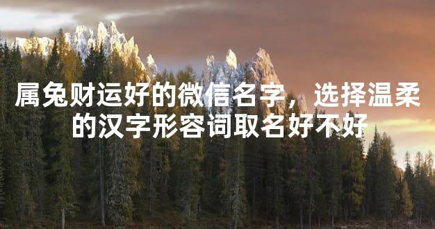 属兔财运好的微信名字，选择温柔的汉字形容词取名好不好