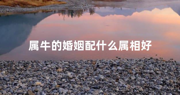 属牛的婚姻配什么属相好
