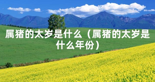 属猪的太岁是什么（属猪的太岁是什么年份）