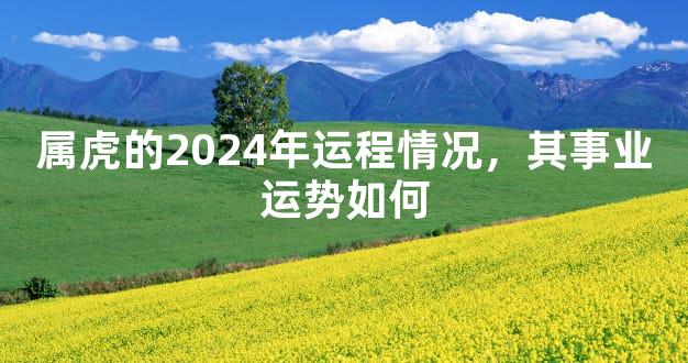 属虎的2024年运程情况，其事业运势如何