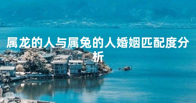 属龙的人与属兔的人婚姻匹配度分析