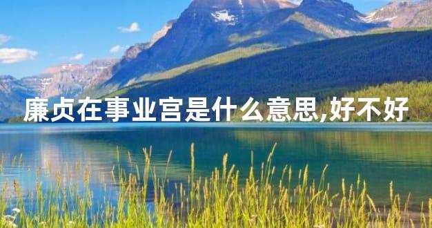 廉贞在事业宫是什么意思,好不好