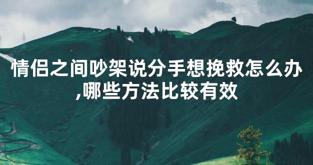 情侣之间吵架说分手想挽救怎么办,哪些方法比较有效