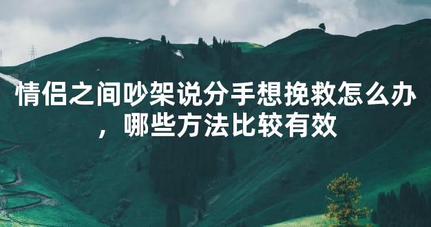 情侣之间吵架说分手想挽救怎么办，哪些方法比较有效